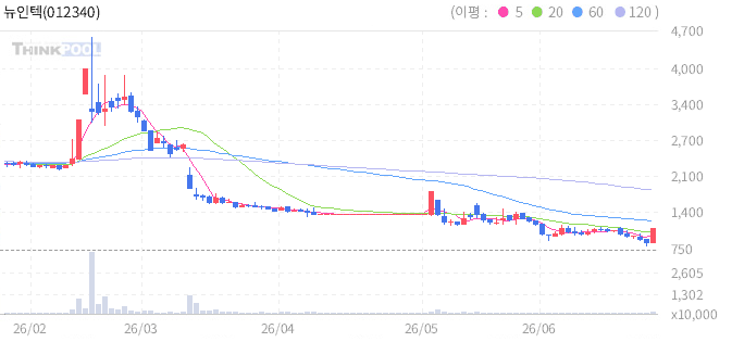 뉴인텍 일봉 차트